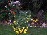 Bild 29007.jpg