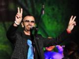 Ringo.jpg