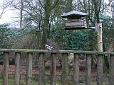 100_2793.jpg