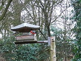100_2775.jpg