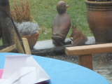 Bild 29424.jpg