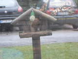 Bild 29425.jpg