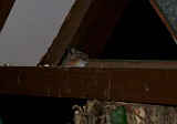 100_5863.jpg