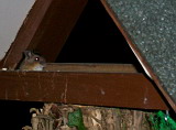 100_5861.jpg