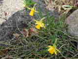 Bild 29939.jpg