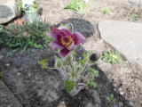 Bild 29940.jpg