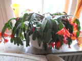 Bild 29937.jpg
