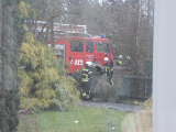 Bild 30054.jpg