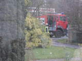 Bild 30055.jpg