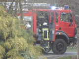 Bild 30056.jpg