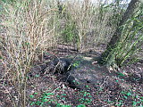 100_5929.jpg