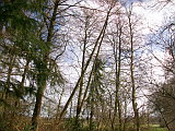 100_5931.jpg