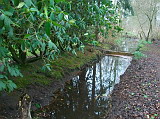 100_5905.jpg