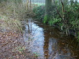 100_5910.jpg