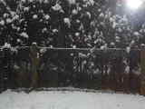 Bild 30057.jpg