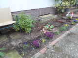 Bild 30237.jpg