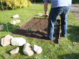 Bild 30238.jpg