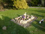 Bild 30306.jpg