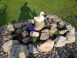 Bild 30307.jpg
