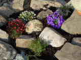 Bild 30309.jpg