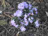 Bild 30366.jpg