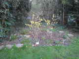 Bild 30375.jpg