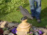 Bild 30302.jpg