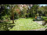 Bild 30482.jpg