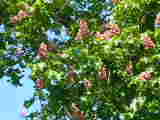 Bild 30958.jpg