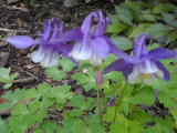 Bild 30959.jpg