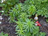 Bild 30961.jpg