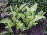 Bild 30968.jpg