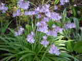 Bild 30970.jpg