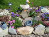 Bild 30977.jpg