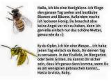 biene_wespe.jpg