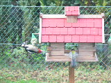 P1040320.jpg