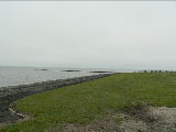 P1040547.jpg