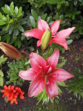 Bild 5576.jpg