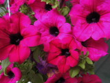 Bild 5579.jpg