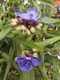 Bild 5580.jpg