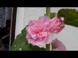 Bild 28044.jpg