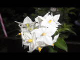 Bild 28072.jpg