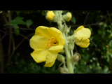 Bild 28075.jpg