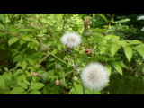 Bild 28076.jpg