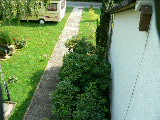 P1000190.jpg