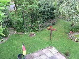P1000570.jpg