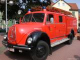 Magirus5.jpg